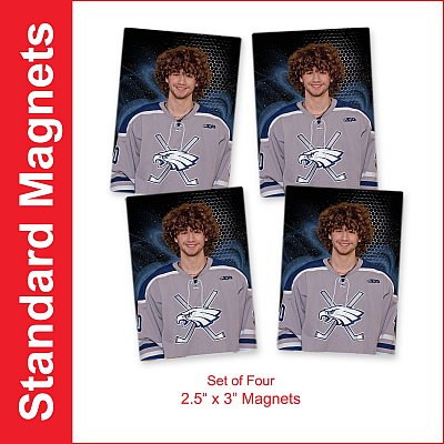 07_-_Standard_Magnets.jpg